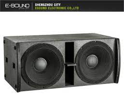 dual 18 inch professional speaker box