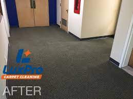 commercial carpet cleaning in the niota