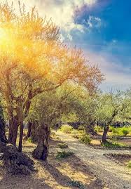 garden of gethsemane a spiritual
