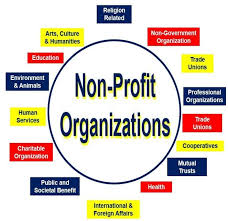 What is A Non Profit Organisation