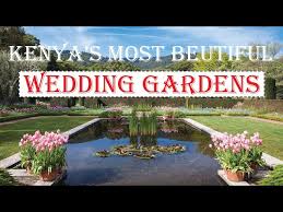 maline gardens wedding venue garden