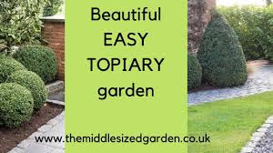easy topiary shapes for a dramatic and