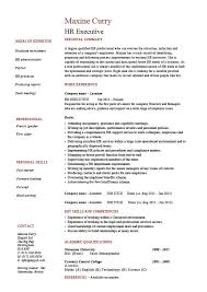 Resume Sample   International Human Resources Executive Page  