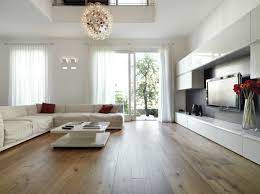 modern living room with wood flooring