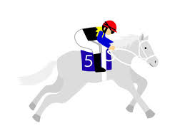 horse racing racehorse white horse