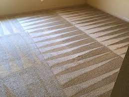 carpet cleaning in olathe ks leone