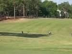 Carolina Lakes Golf Club in Sanford, North Carolina, USA | GolfPass