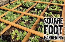 What To Plant In A Square Foot Garden