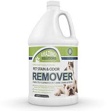 remove urine odor from carpet