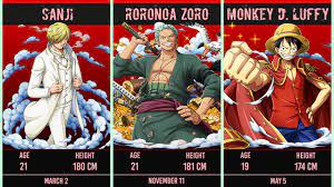 ONE PIECE Age Height And Birthday Of Straw Hat Pirates Members - YouTube