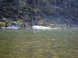 Beaverkill River Fishing Conditions Tips Geographic Info