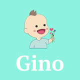 Is Gino a popular name?