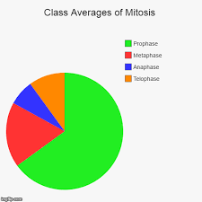 Class Averages Of Mitosis Imgflip