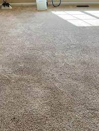 carpet cleaning company in fort collins