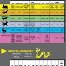 Vaccine And Wormer Recommendations For Horses Visual Ly