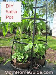 Diy Salsa Container Garden