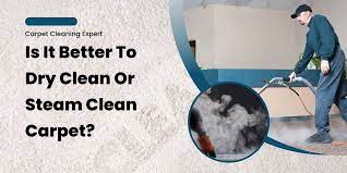 dry clean or steam clean carpet