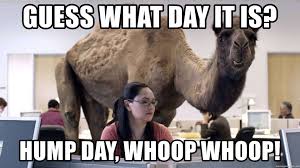 Also known as hump day, wednesday is one day to dread or get excited over depending on the type of week you're having. 33 Happy Hump Day Meme Wishes And Images Preet Kamal