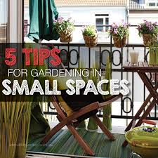 5 Tips For Gardening In A Small Space
