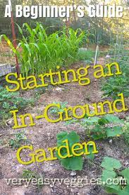 How To Start An In Ground Garden The