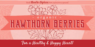 herb e feature hawthorn berries