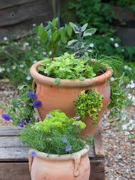 35 Herb Garden Design Ideas Growing