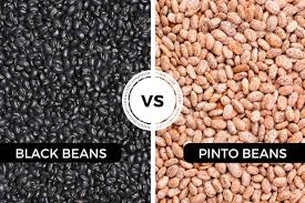 black beans vs pinto beans which