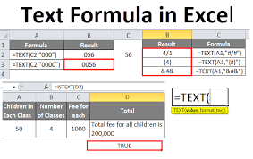 text formula in excel how to use text