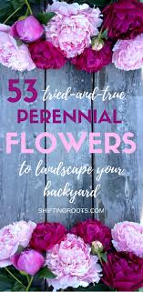 Gardeners often grow perennial flowers as it is easy to take care of and offers variety of colorful flowers with its sweet. 53 Favourite Perennials To Plant In Zone 3 Shifting Roots