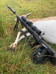 nz hunting and shooting forums