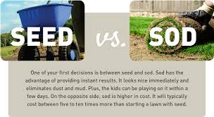 how to start a lawn from seed ifa s