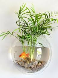 Wall Mounted Fish Tank Fish Tank