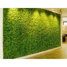 artificial green wall for decoration at