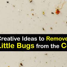 killing tiny bugs awesome tricks for