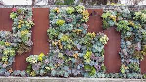 how to create a vertical succulent garden