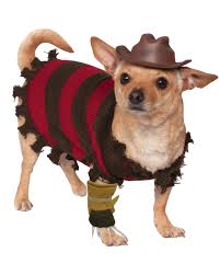 Freddy Krueger Dog Costume For Halloween | horror-shop.com