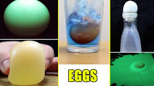 eggs cool science experiments
