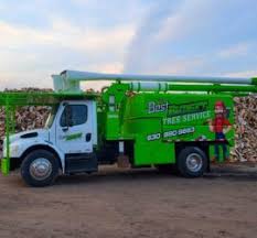 Best Budget Tree Service – Family owned Tree Service, offering tree removal,  trimming, mulch, & firewood. We service the Plainfield, Joliet, Naperville,  Sandwich, Oswego, Aurora, Yorkville & Surrounding areas. Call us  @+1(815)685-2444