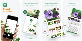 I think this may be because we're in the uk and it's a us app. 19 Best Plant Identification Apps For 2021 Balcony Garden Web