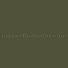 Ral6003 Olive Green Spray Paint And