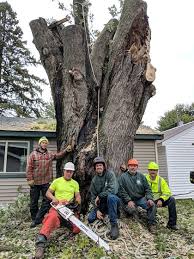 We offer tree removal, tree trimming, stump grinding, and crane service. Tree Service Anoka Princeton Tree Removal Milaca