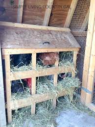 milk crate en nesting bo
