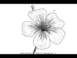 My first piece of advice would be to collect as many photographs sketches and drawings of as many different flowers as you can. How To Draw A Beautiful And Simple Flower Youtube