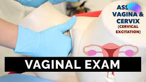 Vaginal Examination (PV) - OSCE Guide - YouTube