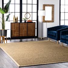 beige indoor solid area rug in the rugs