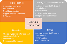 lipids and diastolic dysfunction