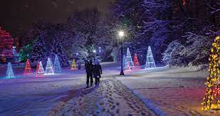 winter festival of lights
