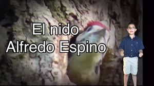 el nido poema de alfredo espino you