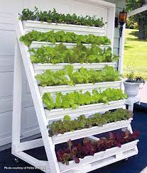 Cucumbers (cucumus sativus), beans (phaseolus vulgaris), tomatoes (solanum lycopersicum) and any other fruit or vegetable that grows on a vine is. 15 Diy Vertical Vegetable Garden Ideas Projects The Garden Glove