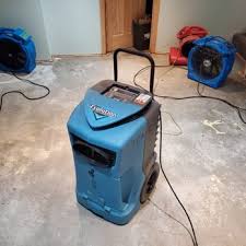 carpet cleaning in madison wi